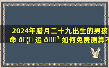 2024年腊月二十九出生的男孩命 🦁 运 🌳 如何免费测算不要钱，准到吓人